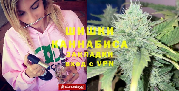 шишки Абаза