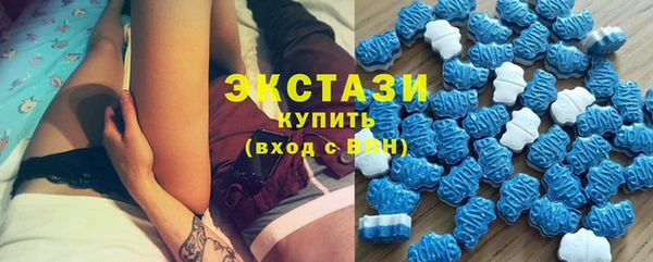шишки Абаза